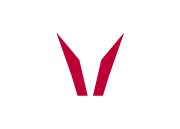 True Voice Logo